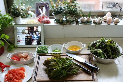 美食天下菜谱大全图片排骨_排骨海带美食天下