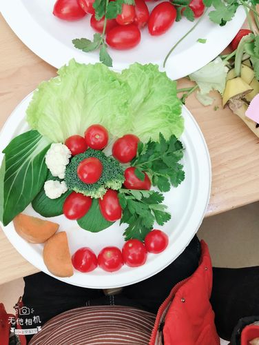 蔬菜水果拼盘_美食节蔬菜拼盘